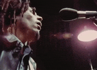 Bob Marley And The Wailers Reggae GIF by Bob Marley