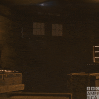 Doctor Who Dw GIF by BBC America