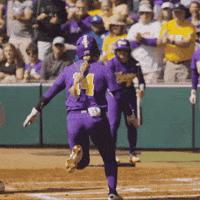 Happy Lets Go GIF by LSU Tigers