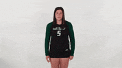 FDN_Sports hu huntington university hu volleyball forester volleyball GIF