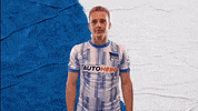 Bundesliga Berlin GIF by Hertha BSC