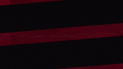 Western Sydney Wanderers Celebration GIF by wswanderersfc