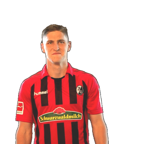 sc freiburg celebration Sticker by SCF