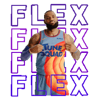 Lebron James Sport Sticker by Space Jam