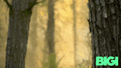 Man Camp GIF by BIGI_TV
