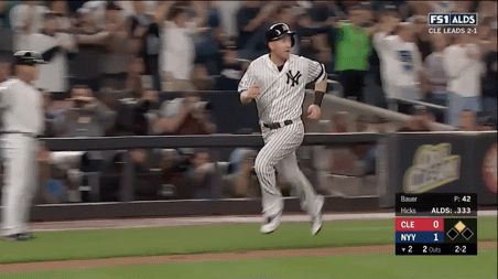 Yankees GIF by Jomboy Media
