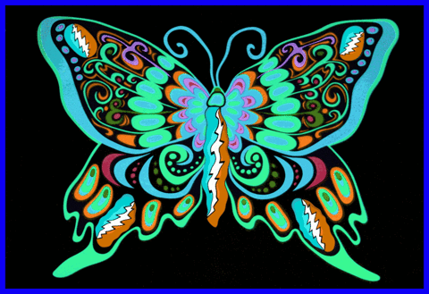 GIF by Steve Konklin