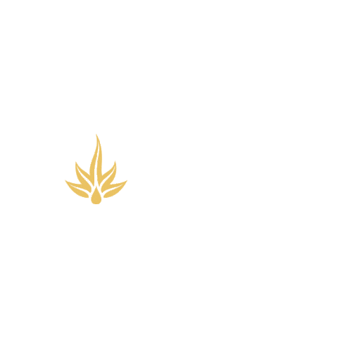Tequila Mj Sticker by cincoro