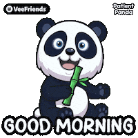 Good Morning Panda Sticker by VeeFriends