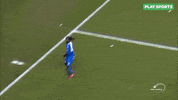 sport celebrate GIF by Play Sports