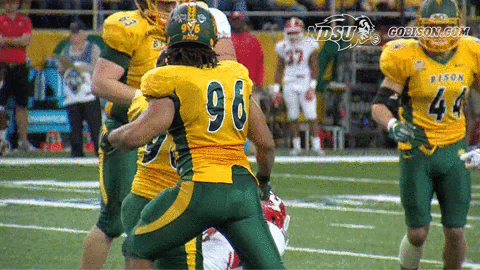 north dakota state football GIF by NDSU Athletics
