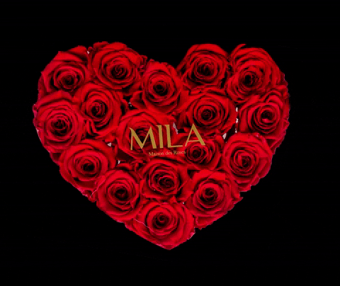 MILAROSESOFF giphyupload heart mila red heart GIF