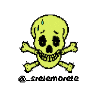 _srelemorele smile pixelart brand srelemorele Sticker