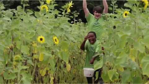 horizonsnational giphygifmaker GIF