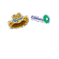 Conhecer Junino Sticker by Colégio Conhecer