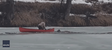 Canadian Man Rescues Deer From Freezing Waters in British Columbia