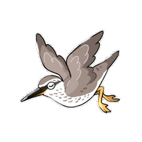 Bird 鳥 Sticker