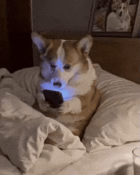 Sleepy Dog GIF by Respective