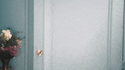 comedy central GIF by Another Period