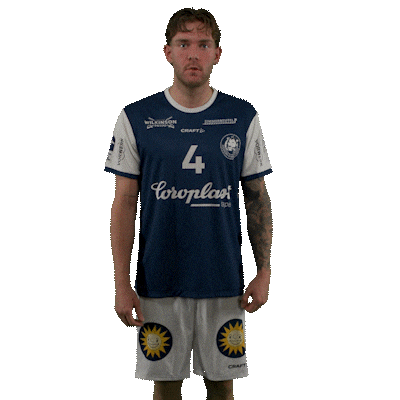 Handball Sticker by DAIKIN HBL