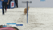 Espn Running GIF by American Kennel Club