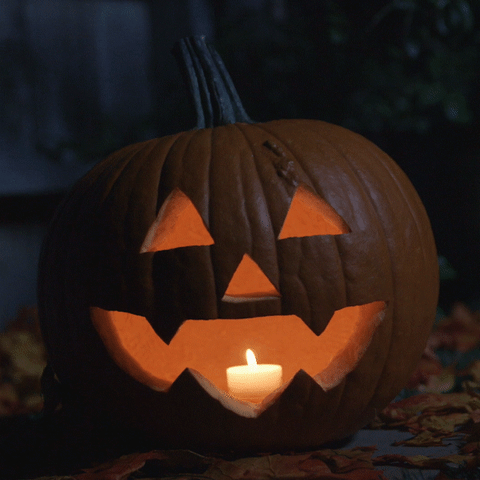 GIF by Shudder