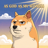 Serious Shiba Inu GIF by Doge Pound