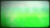 love it yes GIF