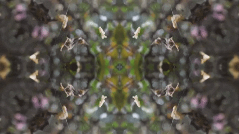 Art Love GIF by jorgemariozuleta