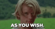 The Princess Bride GIF by filmeditor