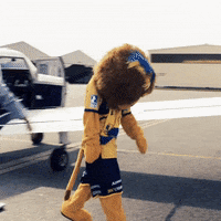 handball mannheim GIF by Rhein-Neckar Löwen