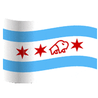 chicago flag Sticker by TWINOAKS