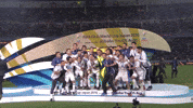 la liga soccer GIF by Real Madrid