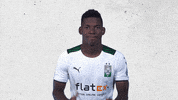 Breel Embolo Bundesliga GIF by Borussia Mönchengladbach
