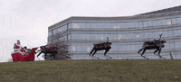 viral video christmas GIF