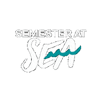 semesteratseavoyages  Sticker