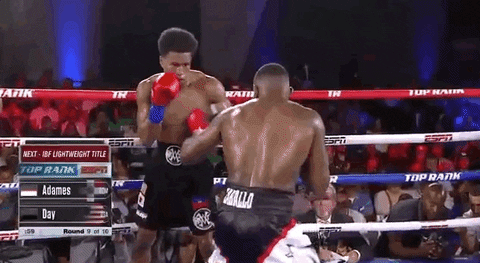toprank giphyupload fight boxing fighting GIF