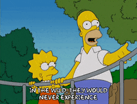 homer simpson GIF