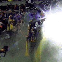 Snoop Dog GIF by Pittsburgh Steelers