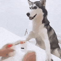 Smart Boi GIF