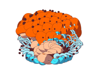 animation loop GIF by Ori Toor