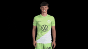Fail Oh No GIF by VfL Wolfsburg