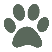 pawsandmemories pawsandmemories knipperend hondenpoot groenehondenpoot Sticker