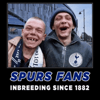 Premier League Football GIF