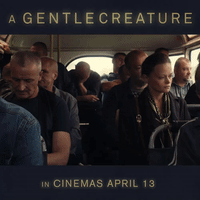 a gentle creature GIF
