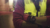 Palibex transporte pale logistica camión GIF