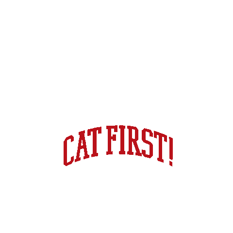 Cat Sticker by BEAMS