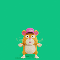 Super Bowl Football GIF by Grind