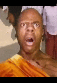 Wtf Shocked GIF