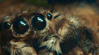 Miss You Love GIF by samsung_de